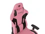 GENESIS Nitro 720 Silla Gaming Rosa y Negro