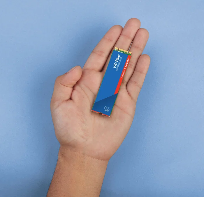 SanDisk/WD Disco SSD SanDisk Blue WD SA510 500 GB M.2 SATA III 560 MB/s Lectura 510 MB/s Escritura para PC/Portátil