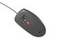 Natec Ruff 2 Ratón Óptico Cable USB Negro 1000 DPI 3 Botones