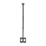 Aisens Soporte de Techo Giratorio e Inclinable para TV 23-43 Pulgadas Negro