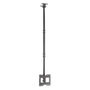 Aisens Soporte de Techo Giratorio e Inclinable para TV 23-43 Pulgadas Negro