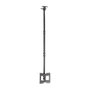 Aisens Soporte de Techo Giratorio e Inclinable para TV 23-43 Pulgadas Negro