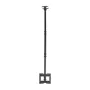 Aisens Soporte de Techo Giratorio e Inclinable para TV 23-43 pulgadas