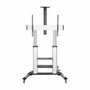 Aisens FT100TE-125 Soporte de Suelo con Ruedas y Manivela para TV 60-100 pulg.