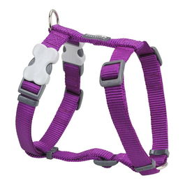 Red Dingo Petral Liso Morado 25 mm Cuello: 62-109 cm