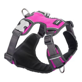 Red Dingo Arnés Acolchado para Perros RD Talla S Fucsia Cuello 30-47cm Cuerpo 37-52cm