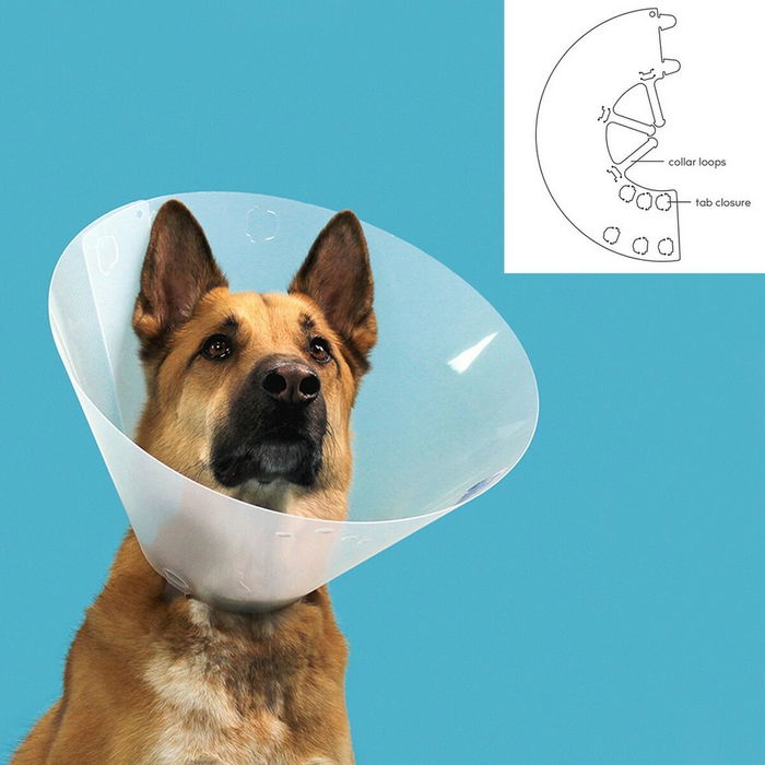 KVP Collar Isabelino Quick Fit Transparente para Perros y Gatos, Cuello 39-48 cm, Profundidad 25 cm