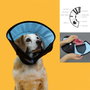 Collar Isabelino para Perros KVP Calmer Multicolor (30-41 cm)