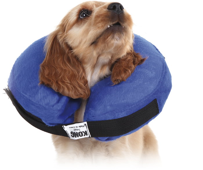 Kong Cloud Collar M 25-35cm Kong Cloud Collar M 25-35cm