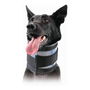 KVP Collar Cervical Bitefree Pro15 cm Ajustable Transparente para Perros y Gatos Visión Periférica Máximo Confort