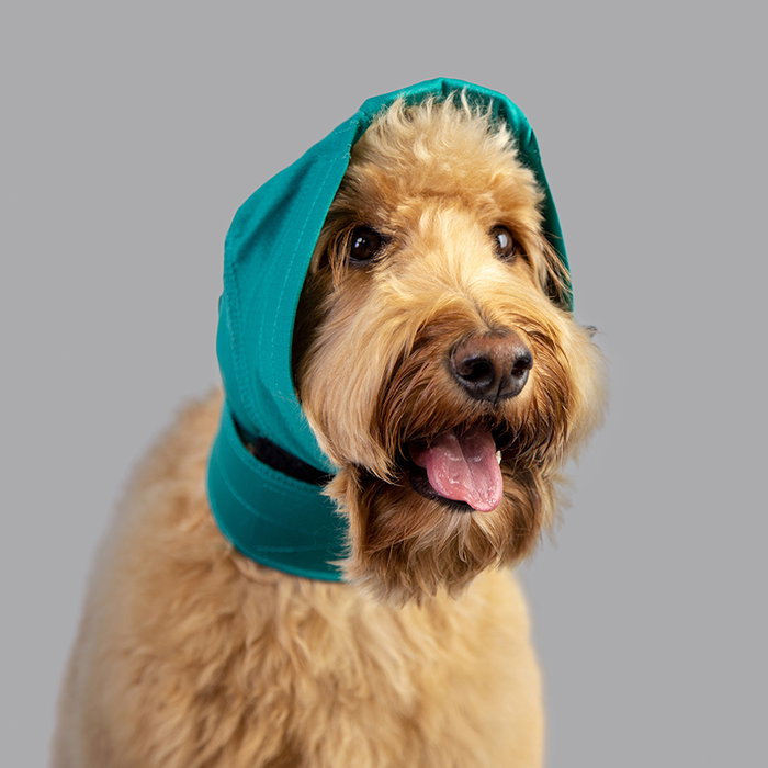 KVP Protector Cubre Orejas Mesh Green Talla M para Recuperación de Otohematomas y Protección Auditiva KVP Protector Cubre Orejas Mesh Green Talla M para Recuperación de Otohematomas y Protección Auditiva