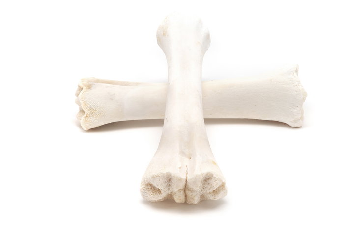 Snackys Hueso de Calcio Caja 20 Unidades Envasado Unitario para Salud Dental y Aporte de Calcio