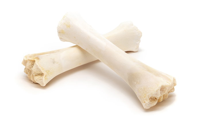 Snackys Hueso de Calcio Caja 20 Unidades Envasado Unitario para Salud Dental y Aporte de Calcio
