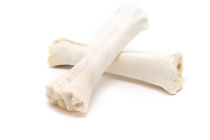 Snackys Hueso de Calcio Caja 20 Unidades Envasado Unitario para Salud Dental y Aporte de Calcio