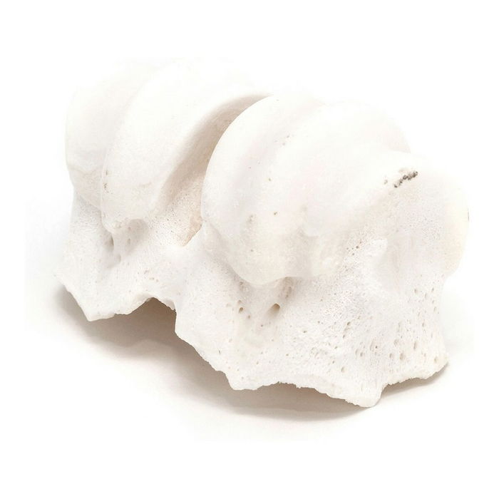 Snackys Caja Nudillos Calcio para Perros Pequeños 30 Bolsas Snackys Caja Nudillos Calcio para Perros Pequeños 30 Bolsas