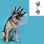 KVP Ez Clear Collar Isabelino para Perro 18-25 cm de Cuello