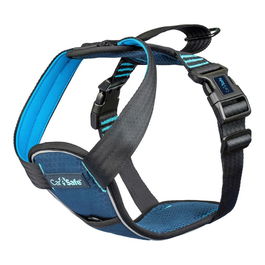 Company Of Animals Carsafe Arnés para Perro Crash Tested Azul L (Cuello 60cm, Pecho 72-86cm, Peso 32kg)