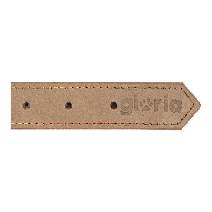 Collar para Perro Gloria Oasis Beige (1,2 x 35 cm) Collar para Perro Gloria Oasis Beige (1,2 x 35 cm)