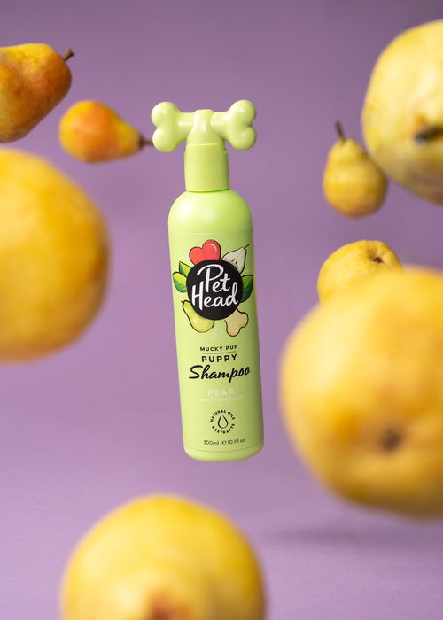 Pet Head Mucky Puppy Shampoo 300ml