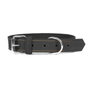 Gloria Collar Oasis Negro 40cm x 15mm