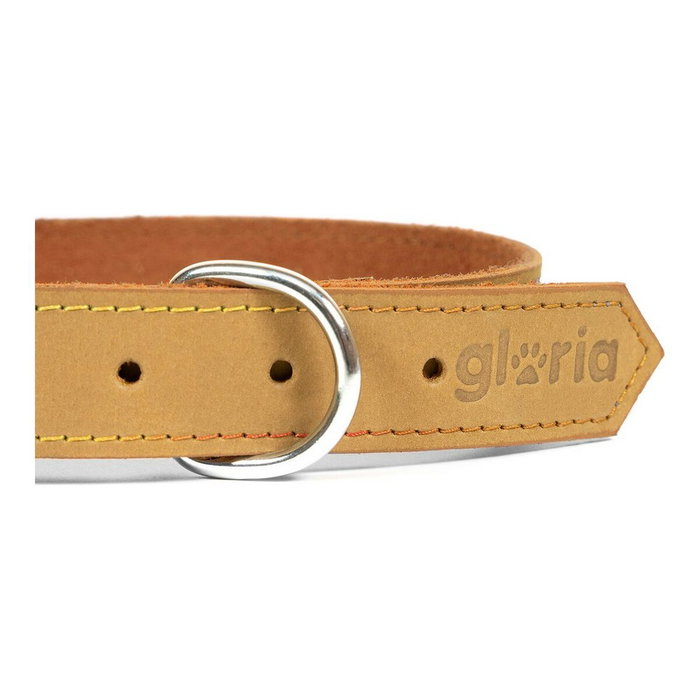 Collar para Perro Gloria Oasis Amarillo (45 x 1,8 cm) Collar para Perro Gloria Oasis Amarillo (45 x 1,8 cm)