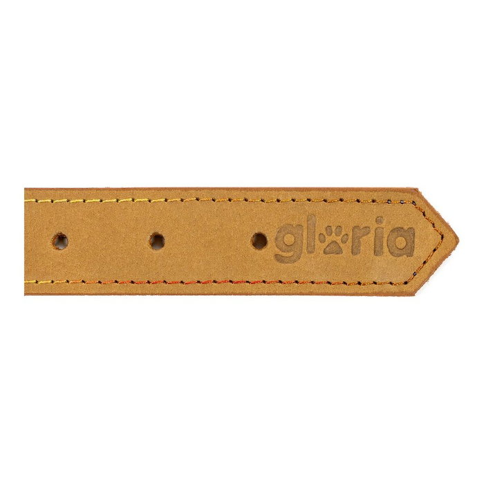 Gloria Collar Oasis Amarillo 50cm x 21mm