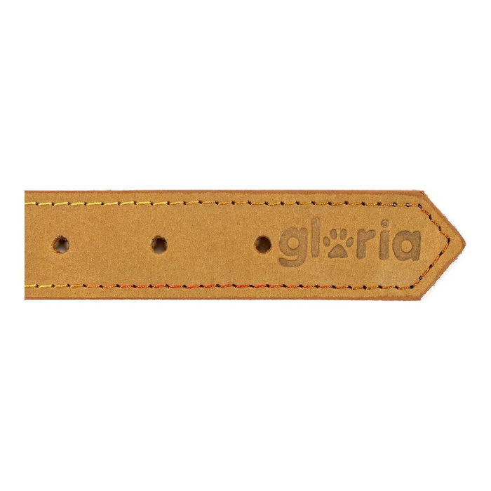 Collar para Perro Gloria Oasis Amarillo (55 x 2,5 cm)