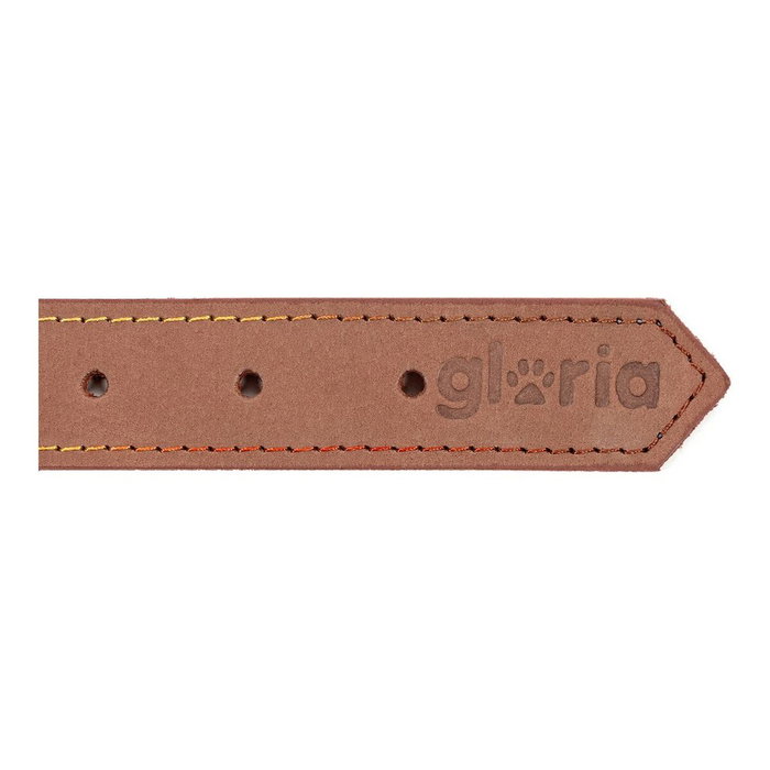 Collar para Perro Gloria Oasis Marrón (55 x 2,5 cm)