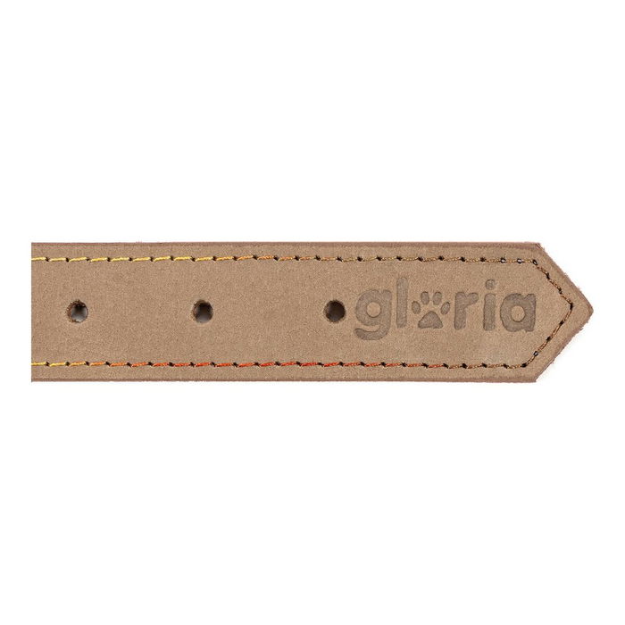 Collar para Perro Gloria Oasis Blanco (60 x 3 cm)