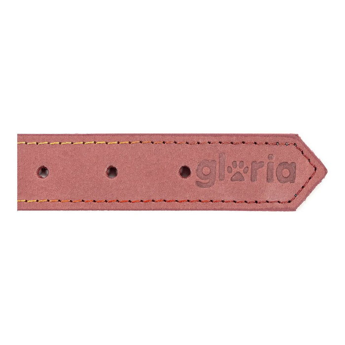 Gloria Collar Oasis Rosa 60cm x 30mm Gloria Collar Oasis Rosa 60cm x 30mm
