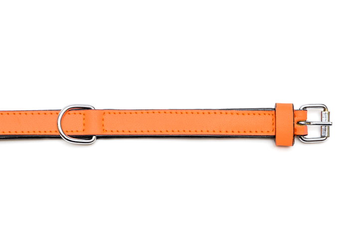Gloria Collar de Piel Acolchado Naranja 30cm x 15mm