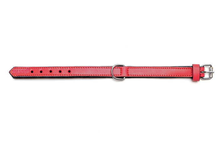 Gloria Collar de Piel Acolchado Rojo 40cm x 20mm Gloria Collar de Piel Acolchado Rojo 40cm x 20mm