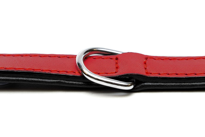 Gloria Collar de Piel Acolchado Rojo 40cm x 20mm Gloria Collar de Piel Acolchado Rojo 40cm x 20mm