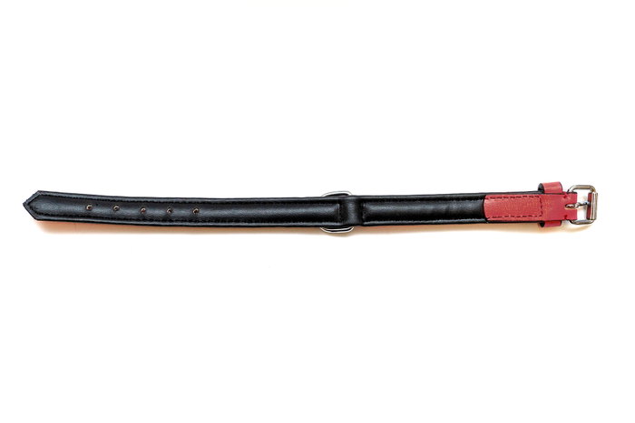 Gloria Collar de Piel Acolchado Rojo 40cm x 20mm Gloria Collar de Piel Acolchado Rojo 40cm x 20mm