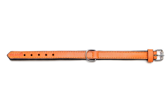 Gloria Collar Piel Acolchado 50 cm X 25 mm Naranja