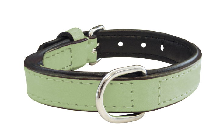 Gloria Collar Piel Acolchado Verde 50 cm X 25 mm