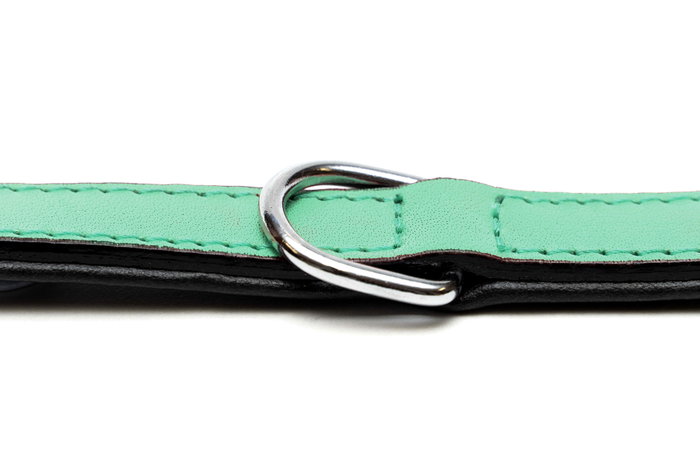 Gloria Collar Piel Acolchado Verde 50 cm X 25 mm