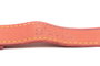 Gloria Correa Oasis 100 cm X 15 mm Rosa