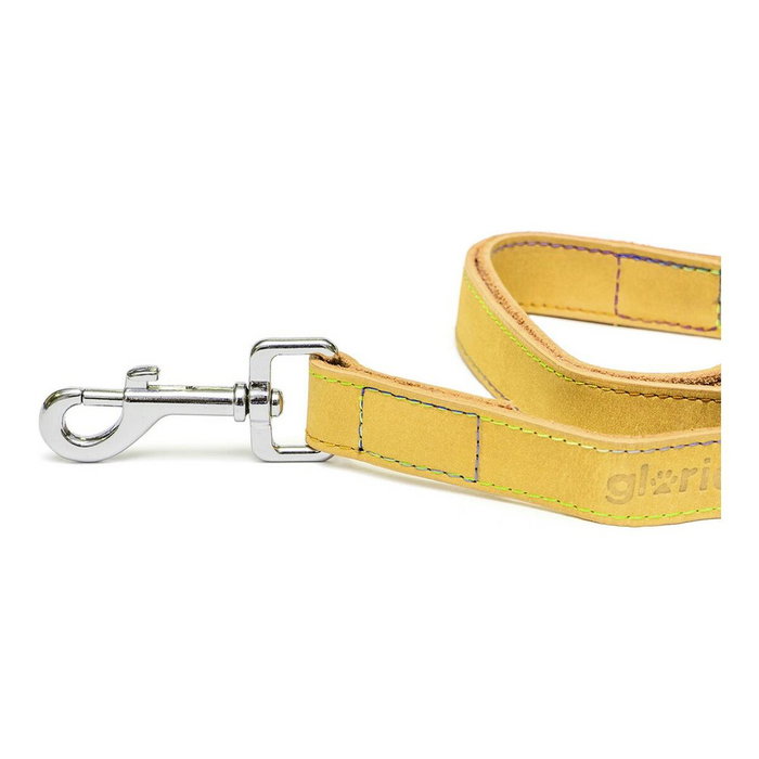 Gloria Correa Oasis Amarillo 100cm x 21mm