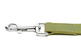 Gloria Correa Oasis 100 cm X 21 mm Verde para Perro de Cuero