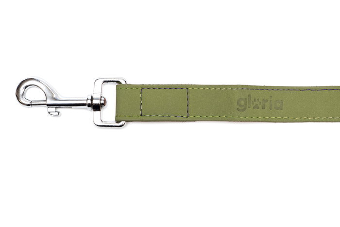 Gloria Correa Oasis 100 cm X 21 mm Verde para Perro de Cuero