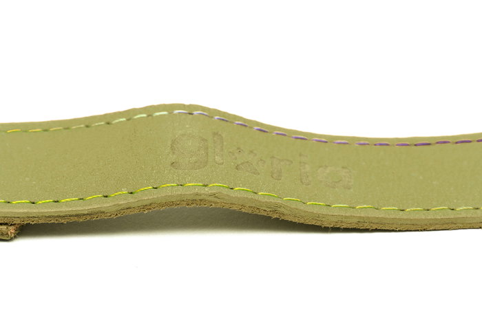 Gloria Correa Oasis 100 cm X 21 mm Verde para Perro de Cuero