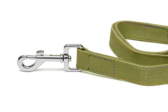 Gloria Correa Oasis 100 cm X 21 mm Verde para Perro de Cuero