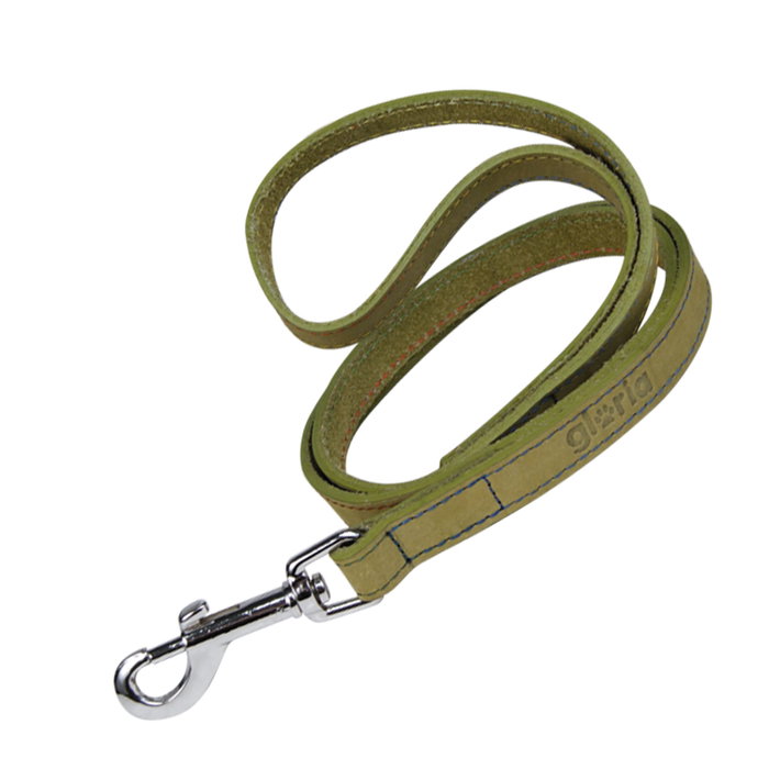 Gloria Correa Oasis 100 cm X 21 mm Verde para Perro de Cuero
