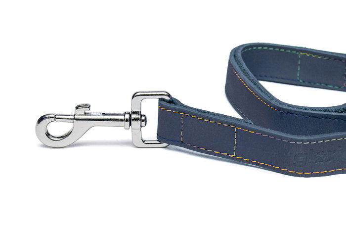 Gloria Correa Oasis 60 cm X 30 mm Azul para Perro de Piel