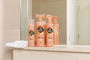 Pethead Quick Fix Spray Melocotón Set de 6 (300 mL cada uno)
