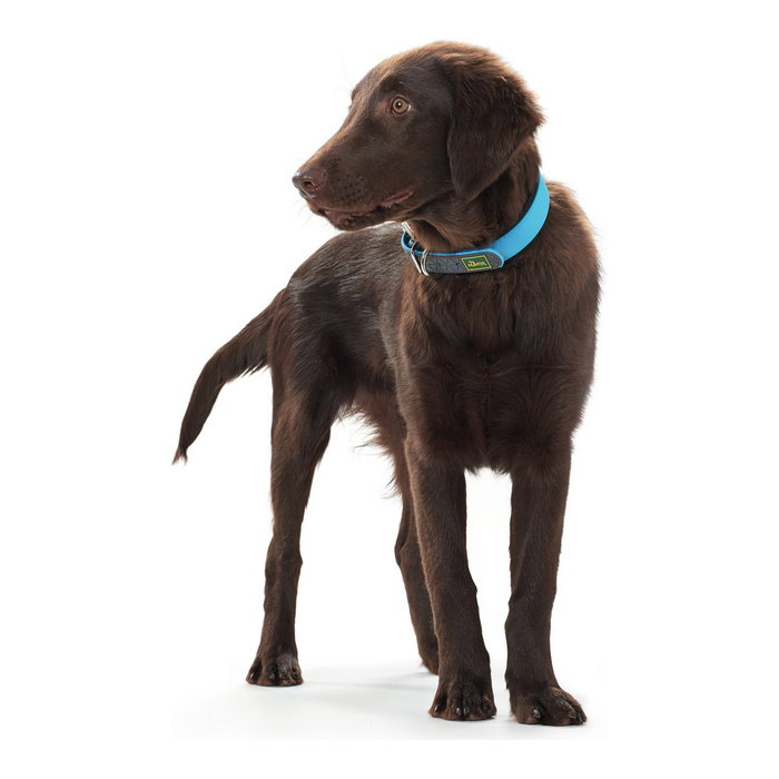 Hunter Collar Convenience Turquesa XS-S