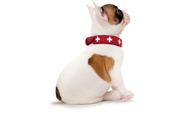 Hunter Collar Suizo 41-49 cm Rojo-Negro Clásico de Cuero Blando y Cómodo con Doble Costura Hunter Collar Suizo 41-49 cm Rojo-Negro Clásico de Cuero Blando y Cómodo con Doble Costura