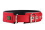 Hunter Collar Neopreen Reflect Nylon Rojo 54-61 cm 45 mm