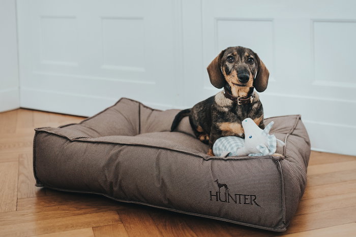 Hunter Cama Acolchada Lancaster 120x90 cm Marrón para Perros